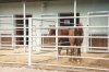 Výstavba Ranche pro chov koní v Kardašově Řečici